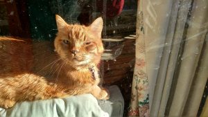 IMG_20160102_141544342_HDR