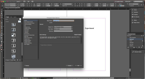 InDesign Workspace with Paragraph Styles Options open.