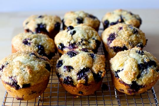 even more perfect blueberry muffins