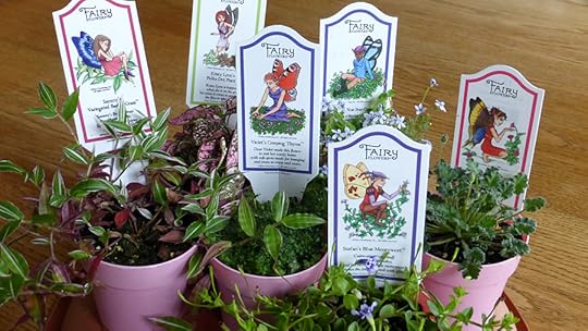 Variegated Basket Grass, Polka Dot Plant, Creeping Thyme, Blue Star Creeper, Blue Moneywort, Pink Cranesbill