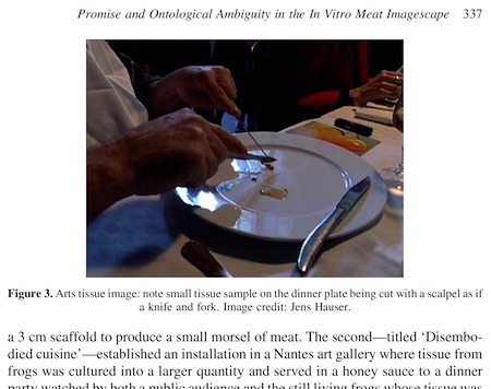 in-vitro-meat