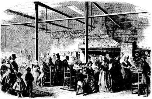 sanitaryfairfrankleslie'sillustnewspaper