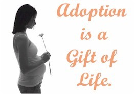  photo Adoption-is-not-a-gift_zpstydud7zr.jpg