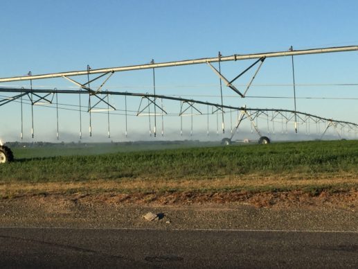 irrigation
