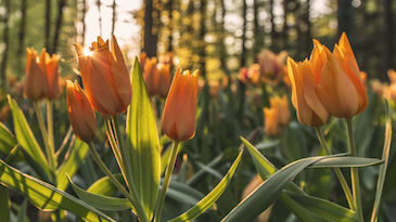 A photo by Ales Krivec. unsplash.com/photos/hLxqYJspAkE