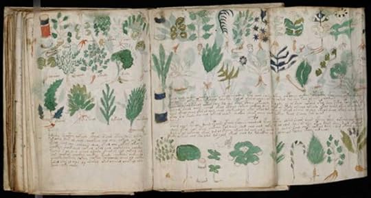 Pages from the Voynich manuscript showing various illustrations of plants