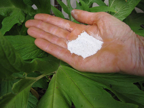 Photo: How to make dry shampoo (that's also body, baby and shoe powder)