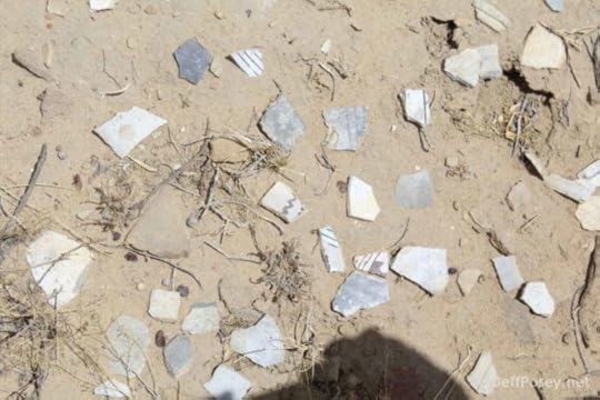 Pottery sherd scatter, Peñasco Blanco Trail, Chaco Canyon National Historic Park, New Mexico. Photo by Jeff Posey.