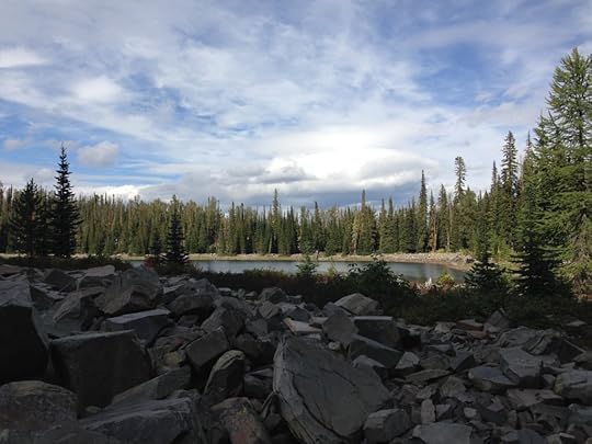 Do you ever beat yourself up for something you did or didn't do? On today's podcast we'll talk about how to break free from self-condemnation.