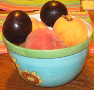 summer bounty 01