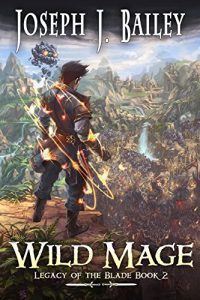 Wild Mage by Joseph J. Bailey