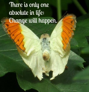 Change (2)