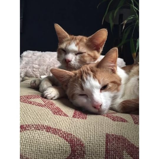 Oscar and Felix, the Odd Couple