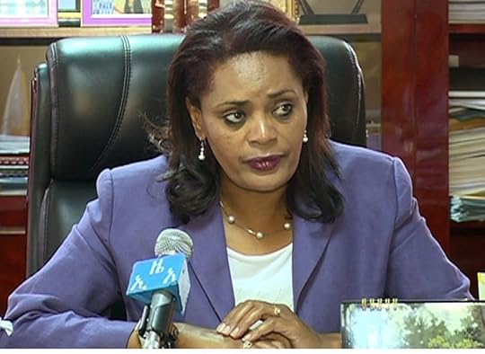 ኢትዮጵያ ለታንዛኒያ 400 ሜጋ ዋት የኤሌክትሪክ ኃይል ለመሸጥ የሚያስችል ስምምነት ልታደርግ ነው