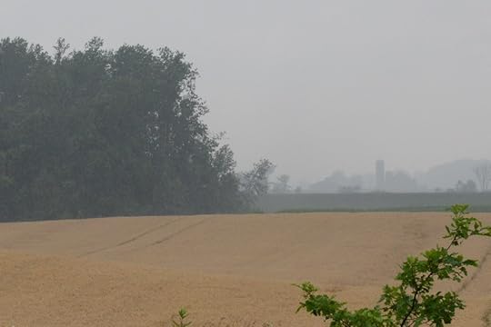 DSC_7932