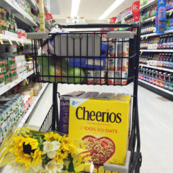 Small Grocery Cart GCE