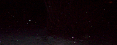 Snow Falling