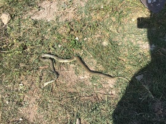 e5e009c5-0ccd-4f56-8330-f22636db0891