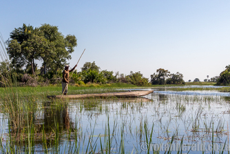 Mokoro, Okavango Delta, Botswana