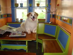 Dewey, always going for the big laugh.