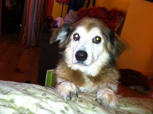 Emma telling me it's time to get up. Dammit.