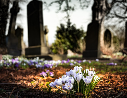 97 graveyard-1417871_1280 drippycat pixabay