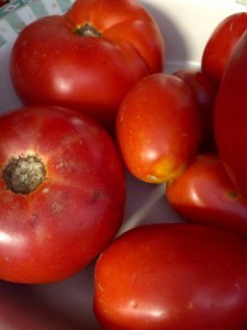 tomatoes