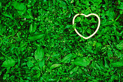 Image by CarbonNYC at flickr2