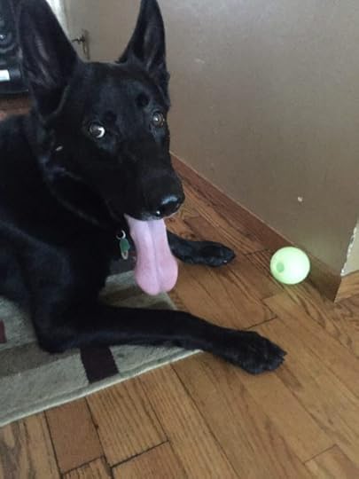 Kobaltsideeyewithball