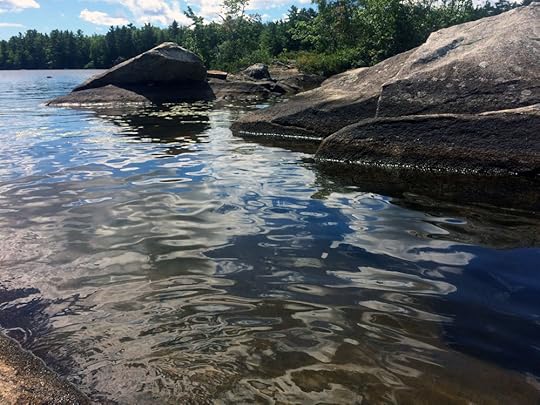 pitcher pond: there's a lot we don't see below the surface