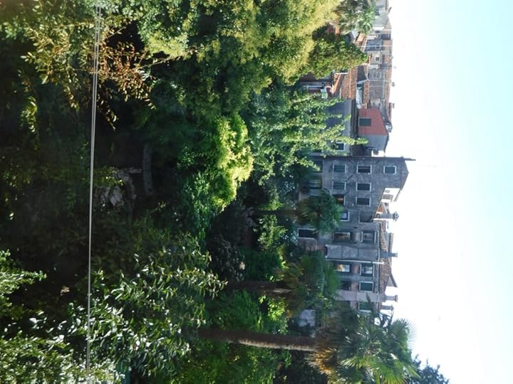 The view from my hostel - a rare look at Venetian green space