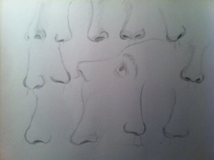 nose_study_by_yellowquiet-d5mgoca