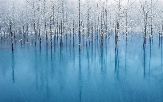 500px1