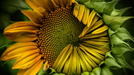500PX3