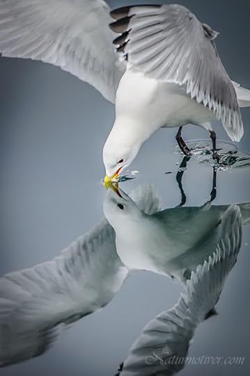 Eyecatching1