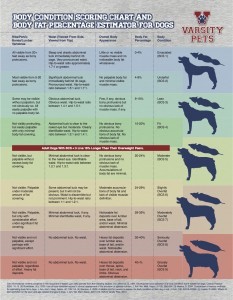 BCS Chart