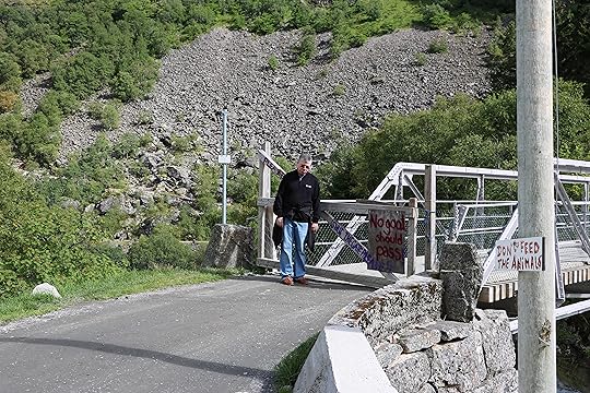 IMG_6939