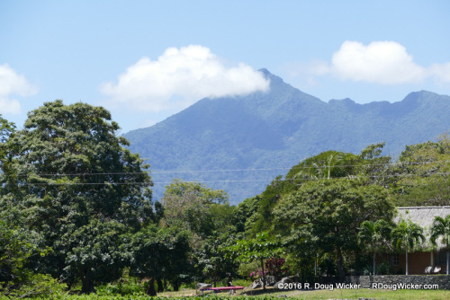 Mountains in the Mist