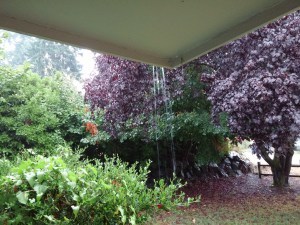 rain