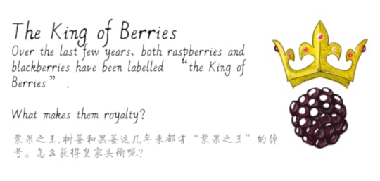 jason_pym-raspberries05