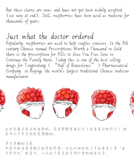 jason_pym-raspberries07