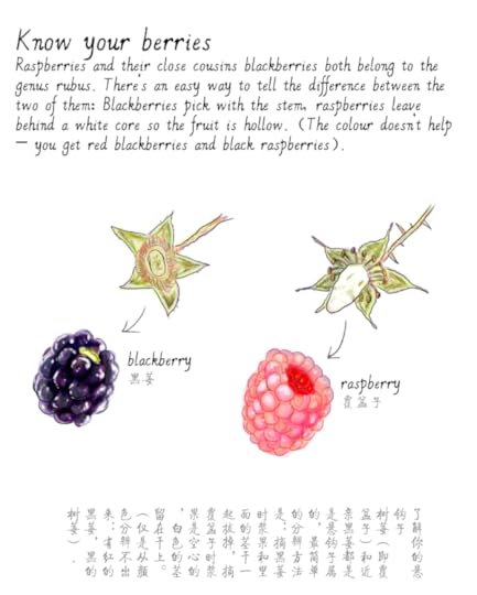 jason_pym-raspberries09