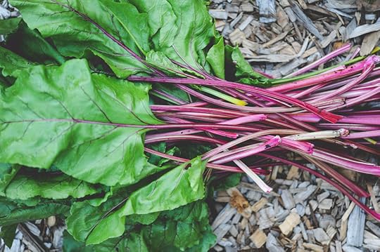 Encyclopedia Botanica Podcast_Seattle Urban Farm Co.