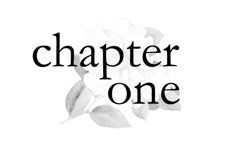 Chapter 1