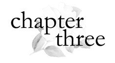 Chapter 3