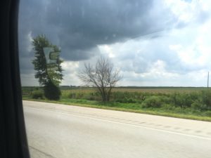 IMG_1793