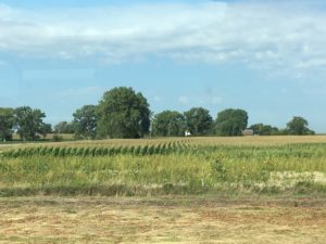 IMG_0268