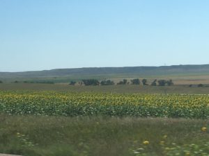 IMG_1724