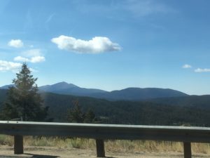 IMG_1702
