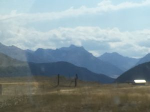 IMG_1718